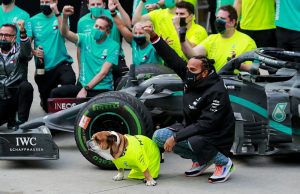 Brawns Hamilton and Schumacher are God gifted
