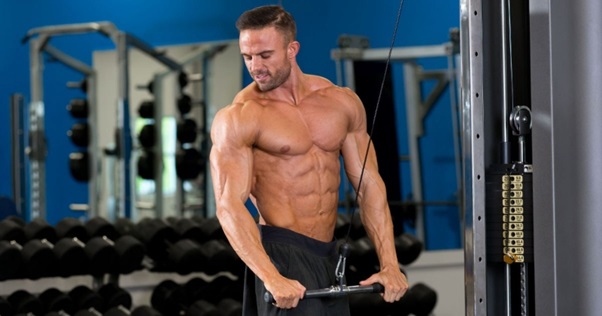 5 Tips to Build Muscle Mass Quickly