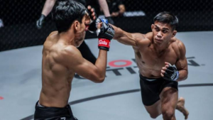 Good Tips to Become a Professional MMA Fighter