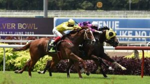 The Popularity and Cultural Significance of Horse Racing in Malaysia