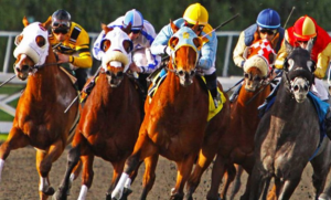 The Impact of Malaysia Horse Racing on the Economy and Tourism