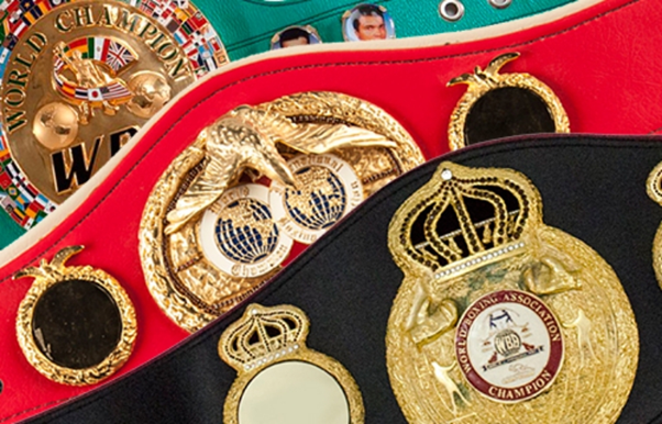 Understanding Boxing Organisations