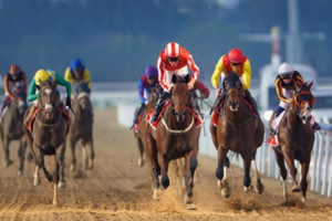The Beauty and Power of Horse Racing